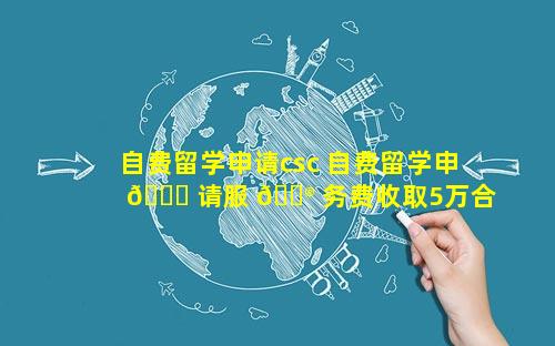 自费留学申请csc 自费留学申 🐝 请服 💮 务费收取5万合理吗